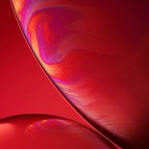 Meet your Posher, Travis